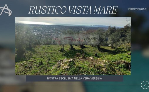 Country House in Strettoia-Capezzano-Valdicastello, Pietrasanta, Tuscany 1