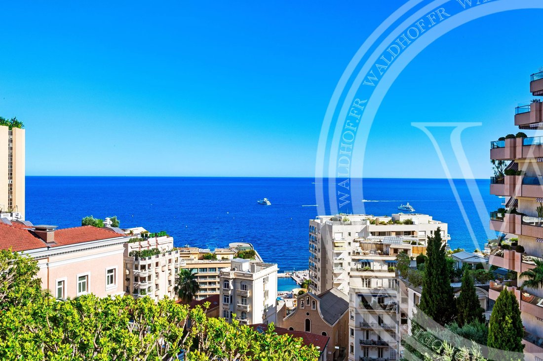Apartment in Cabbe-Saint Roman, Roquebrune-Cap-Martin, France 4 - 15859240