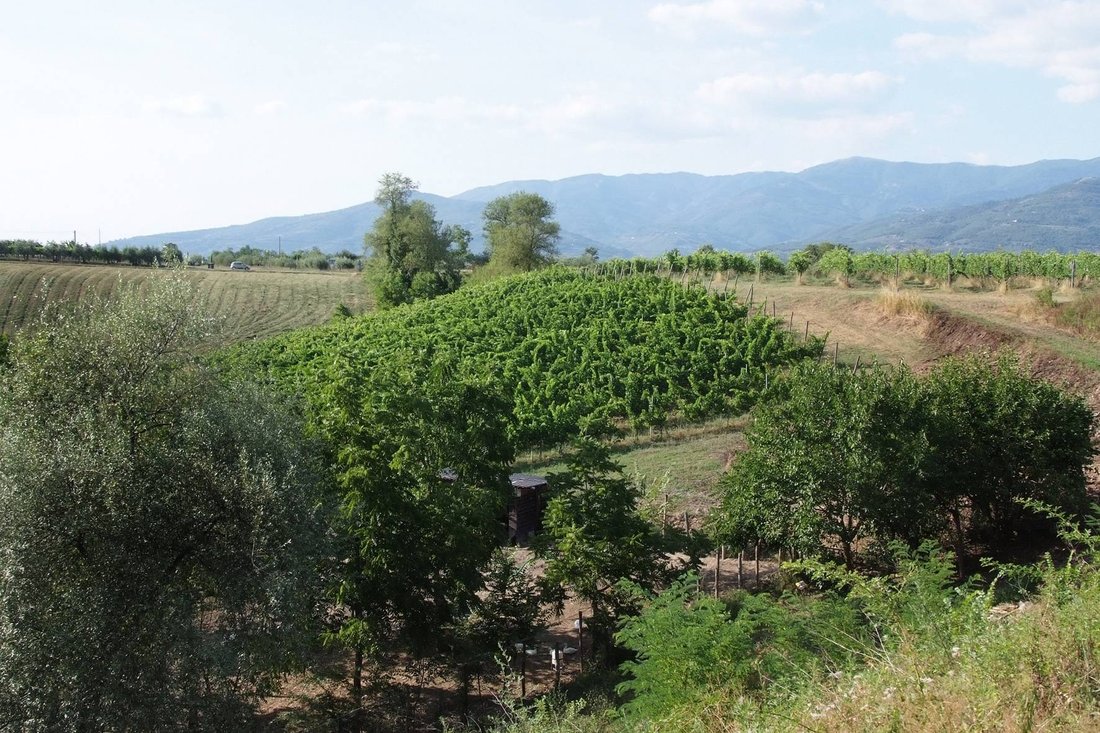 Country House in Loro Ciuffenna, Tuscany, Italy 4 - 15925085