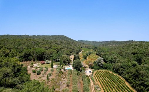 Estate in Saint-Michel-d'Euzet, Occitania, France 1