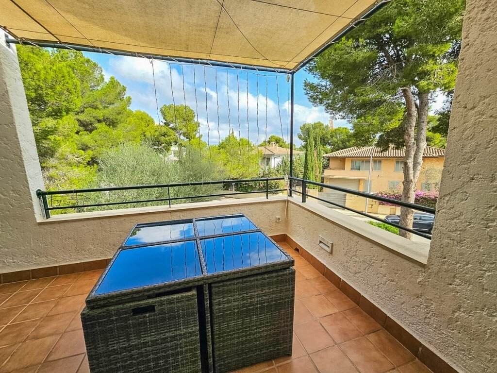House in Sol de Mallorca, Calvia, Balearic Islands 3 - 15921066