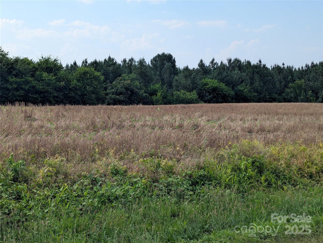 Land in Polkton, North Carolina, United States 4 - 15922227