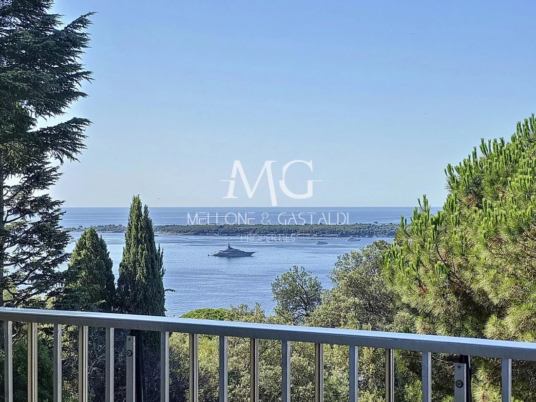 Apartment in Cannes, Provence-Alpes-Côte d'Azur, France 1 - 15919744