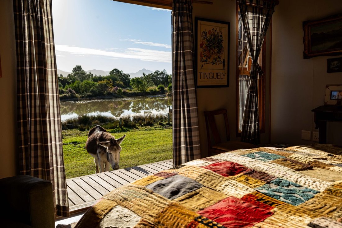 Villa in Keurboomstrand, Western Cape, South Africa 2 - 15927468