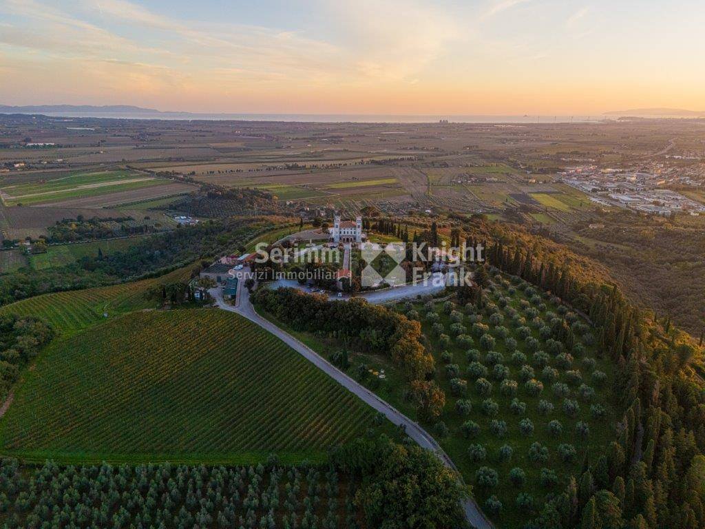 A Tuscan Dream: Where Vineyards Whisper & Time Stands Still - 5