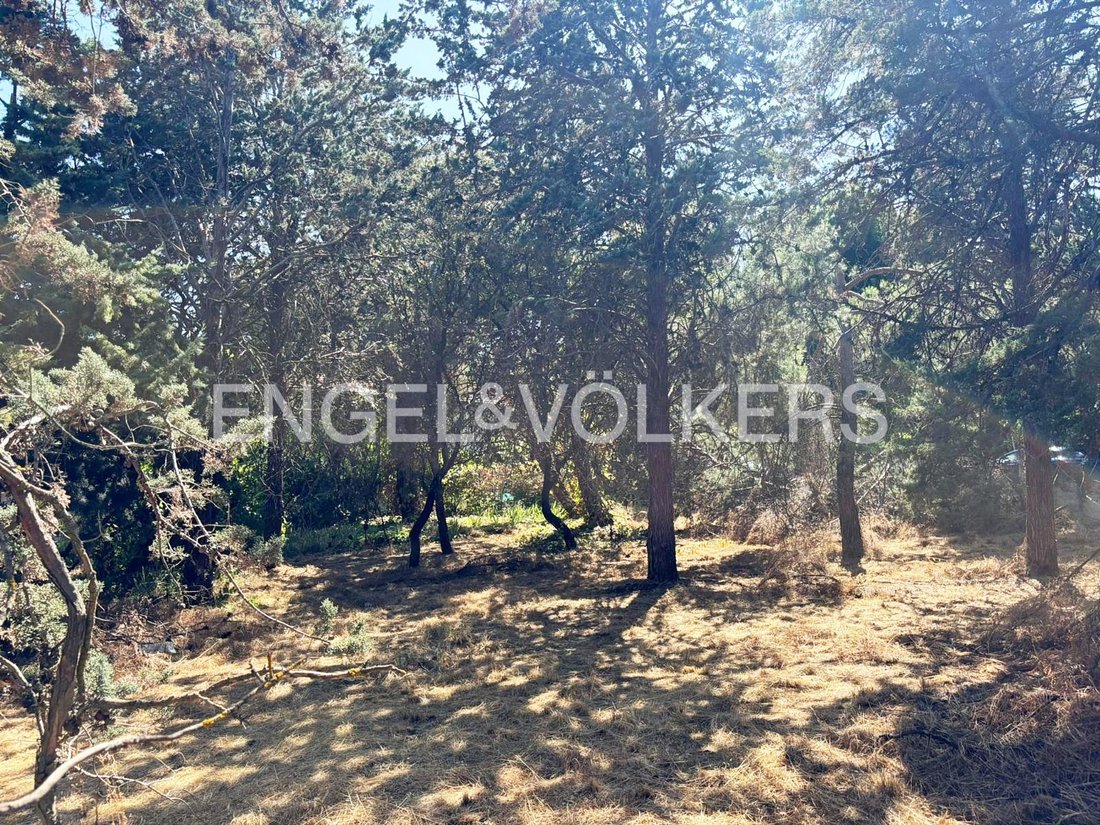 Terreno en Las Rozas de Madrid, Comunidad de Madrid, España 4 - 15929385