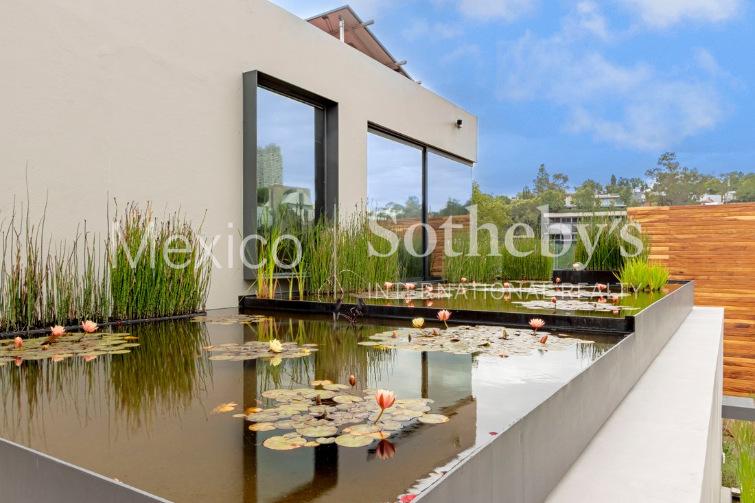 House in Santa Catarina Yecahuitzotl, Mexico City, Mexico 4 - 15928350