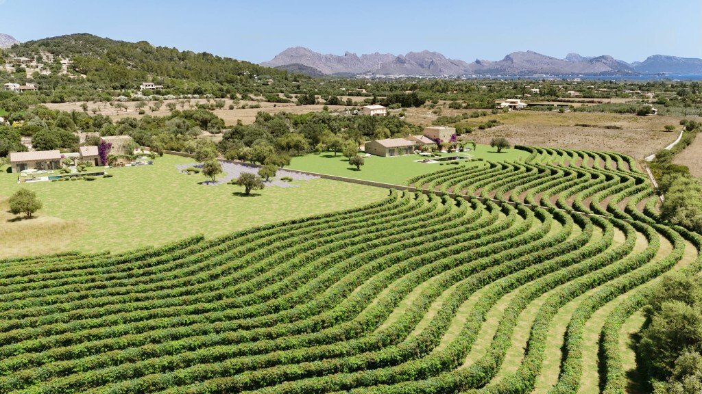 Terreno a Pollença, Isole Baleari, Spagna 3 - 15929159