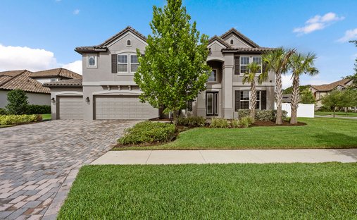 House in Wesley Chapel, Florida, United States 1