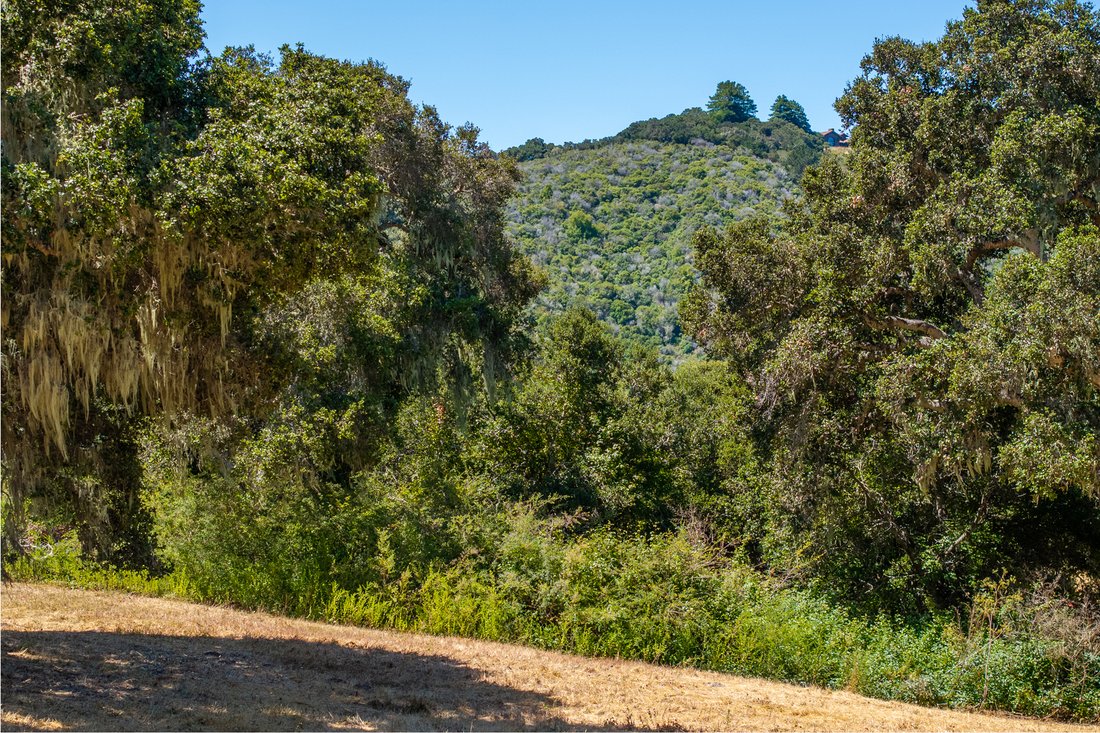Terreno a Carmel-by-the-Sea, California, Stati Uniti 2 - 15929489