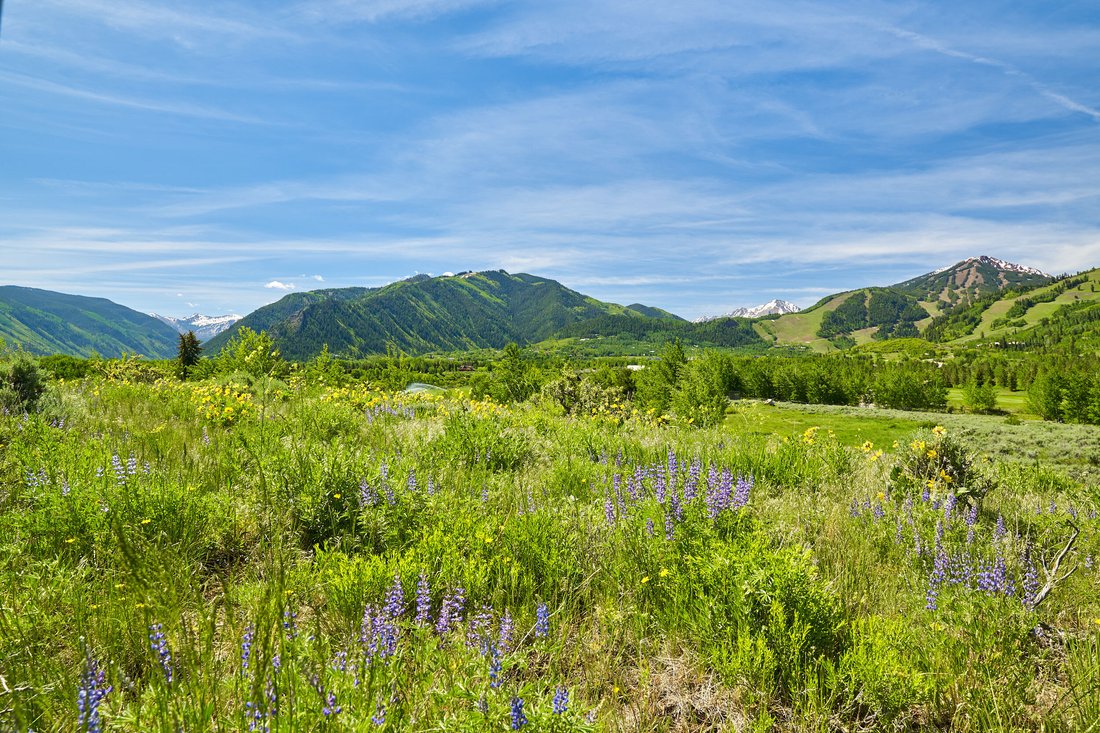 Terreno a Aspen, Colorado, Stati Uniti 1 - 15797008