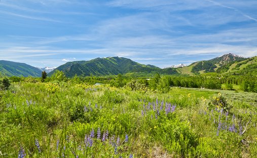 Terreno a Aspen, Colorado, Stati Uniti 1