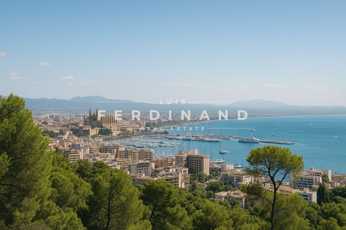 Finca in Palma, Balearic Islands, Spain 4 - 15931338