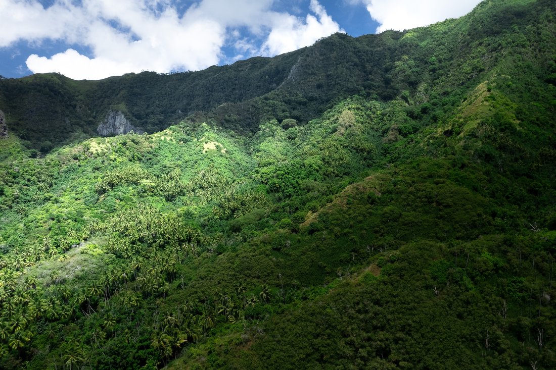 Land in Hiva Oa, Marquesas Islands, French Polynesia 1 - 14416743