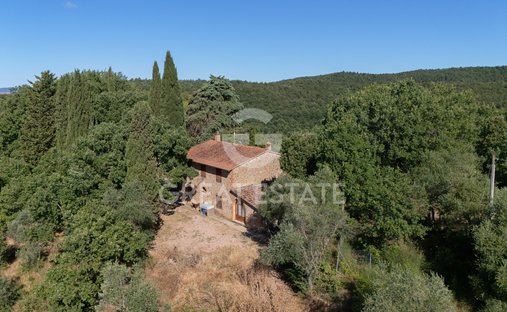 Estate in Torrita di Siena, Tuscany, Italy 1