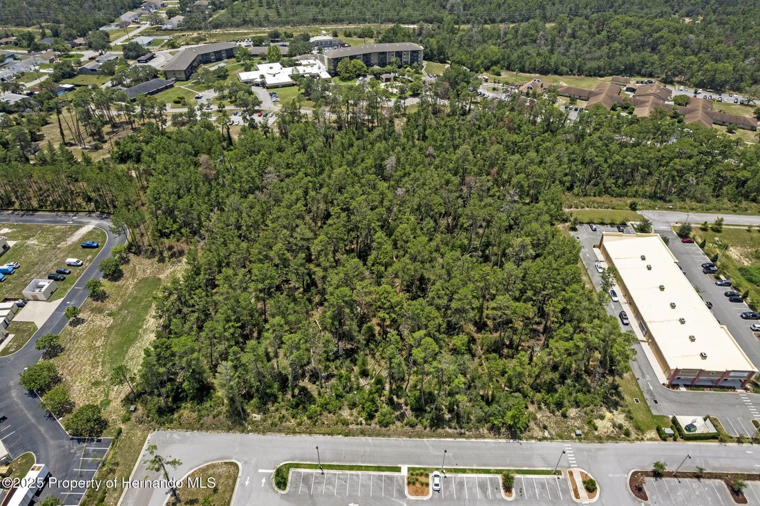 Land in Spring Hill, Florida, United States 4 - 15932422