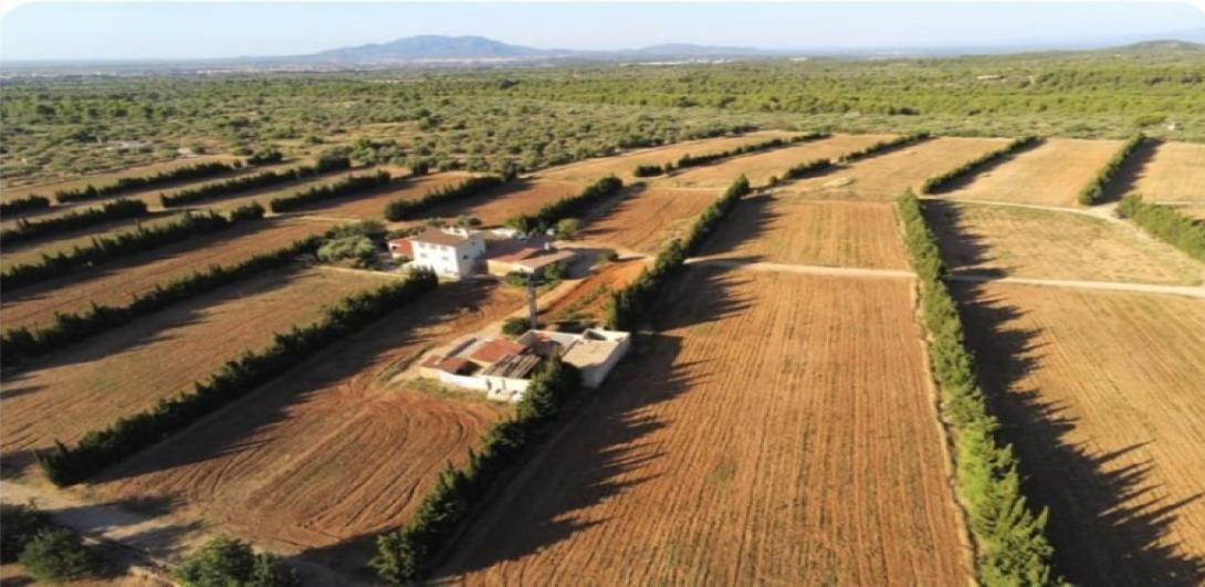 Country House in Camarles, Catalonia, Spain 1 - 15933202