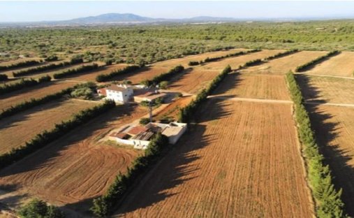 Country House in Camarles, Catalonia, Spain 1