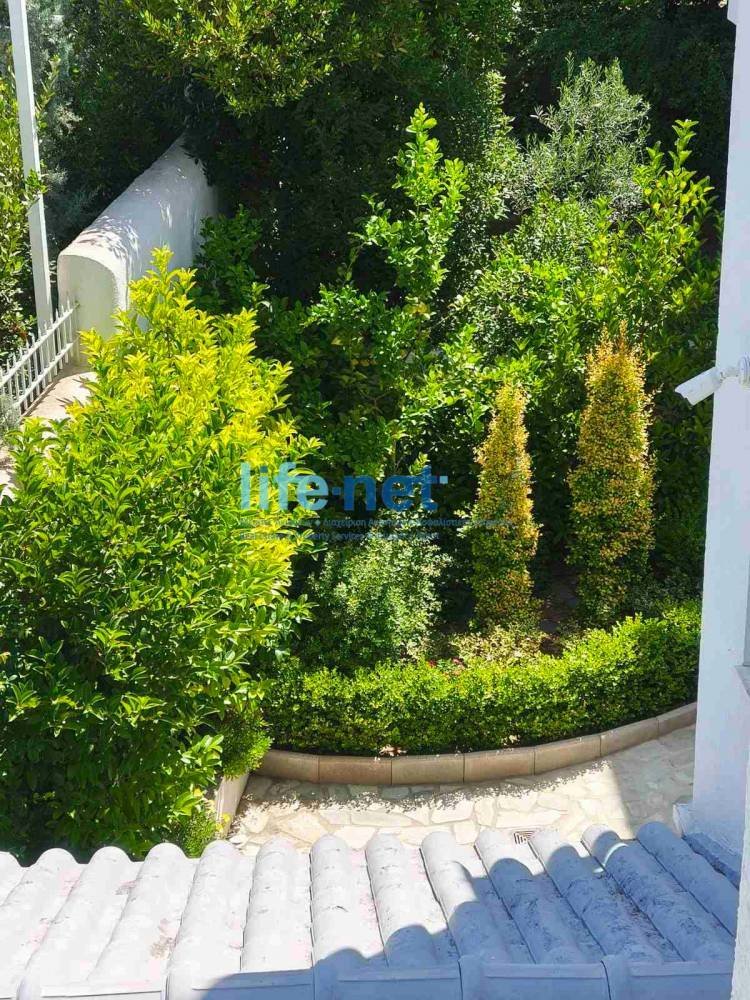 Villa in Ekali, Attica, Greece 3 - 15931854
