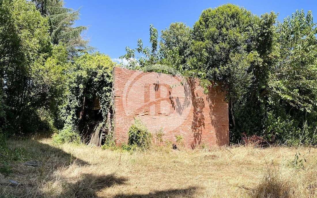 Apartment in Montecarlo, Tuscany, Italy 3 - 15931819