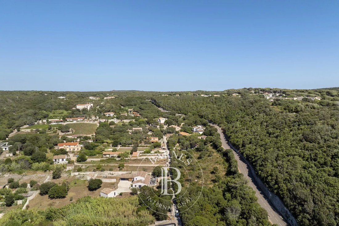 Land in Bonifacio / Bunifaziu, Corsica, France 4 - 15932228