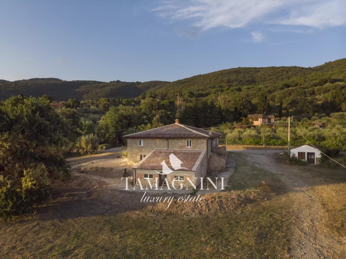 Passignano sul Trasimeno, Umbria, Italy 4 - 14763517