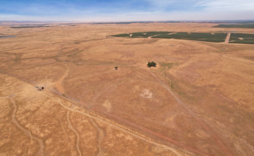 Terrain à Lodi, Californie, États-Unis 1