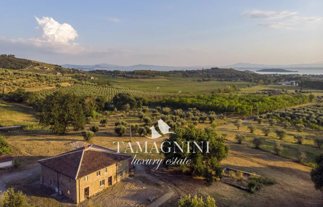 Passignano sul Trasimeno, Umbria, Italy 1 - 14763517