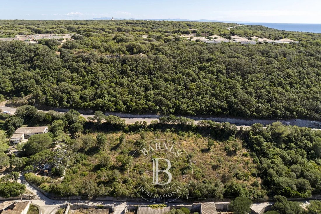 Land in Bonifacio / Bunifaziu, Corsica, France 5 - 15932228