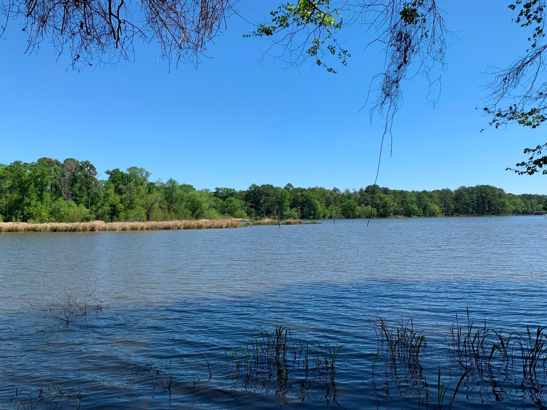 Land in Coffee City, Texas, United States 5 - 15934315