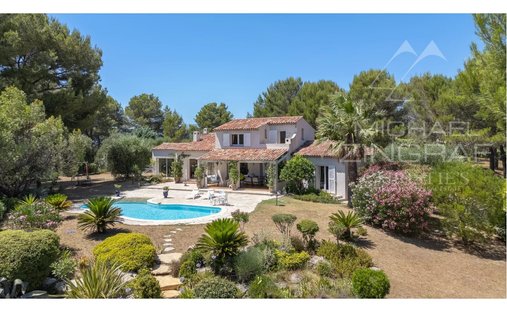 Villa in Est, Peymeinade, France 1