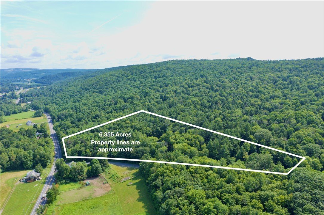 House in Laurens, New York, United States 4 - 15935536