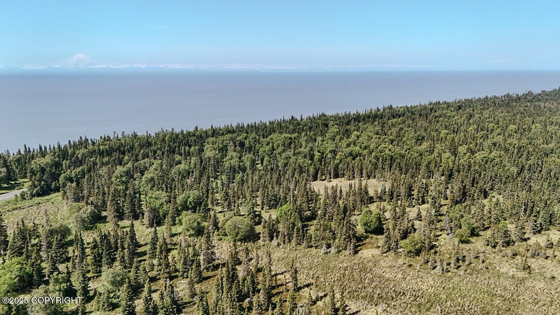 Land in Kasilof, Alaska, United States 2 - 15937229