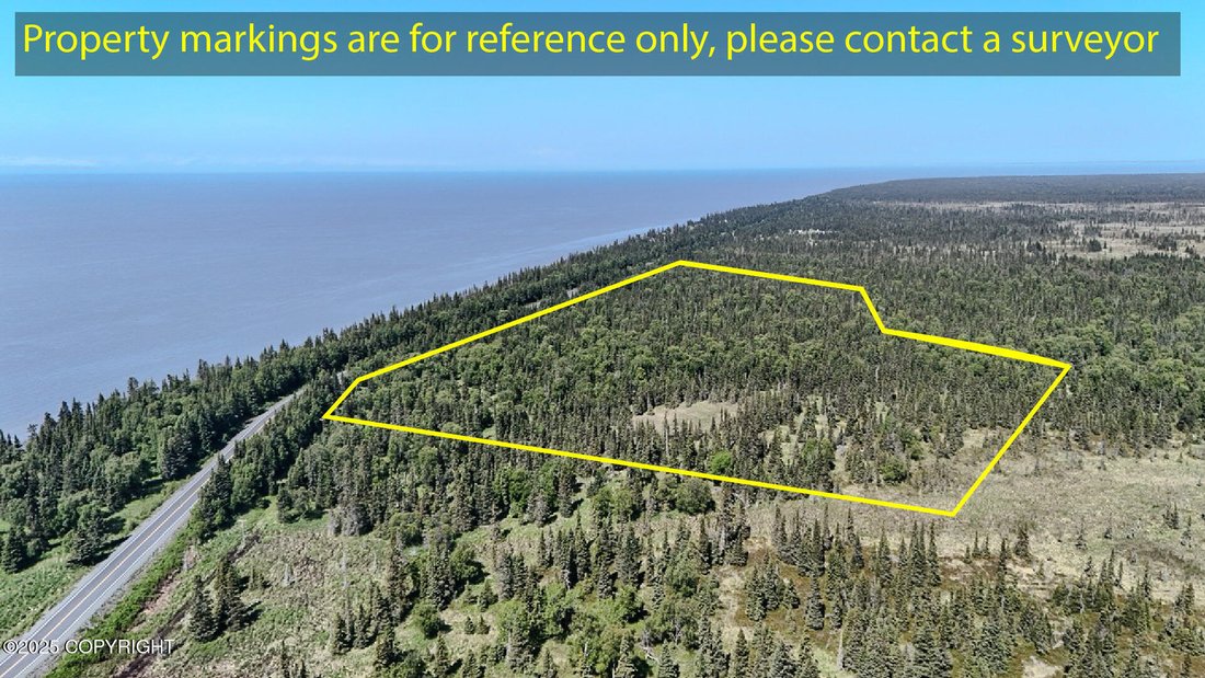 Land in Kasilof, Alaska, United States 1 - 15937229