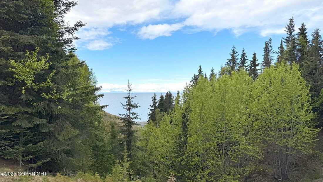 Land in Kasilof, Alaska, United States 4 - 15937229
