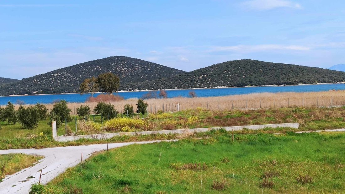 Land in Koinotita Atalantis, Atalanti, Greece 4 - 15937058