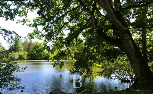 Magnificent Chateau In