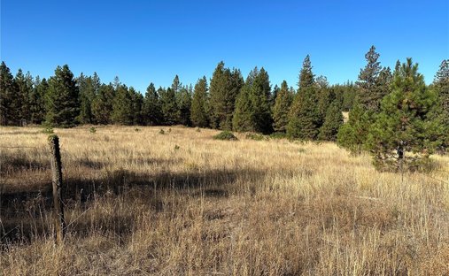Land in Goldendale, Washington, United States 1