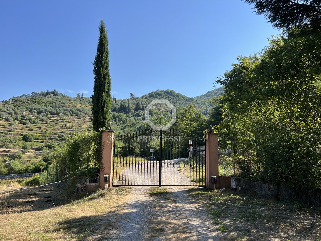 Le Rêve Provençal: A Timeless Ranch Estate Near Monaco’s Golden Shores