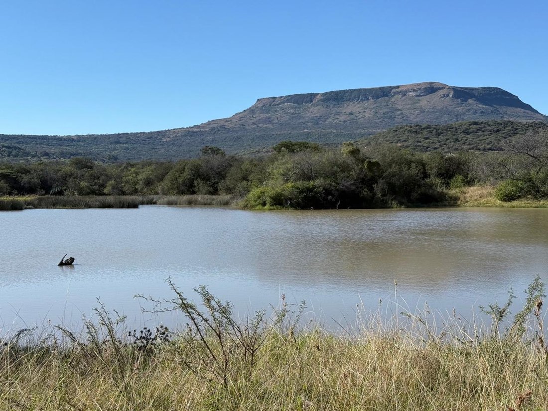 Farm Ranch in Glencoe, KwaZulu-Natal, South Africa 2 - 15936996