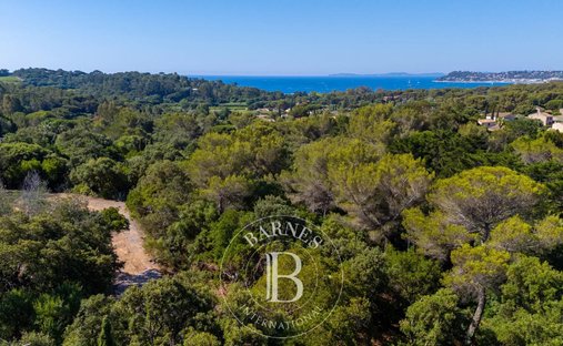 Land in La Croix-Valmer, Provence-Alpes-Côte d'Azur, France 1