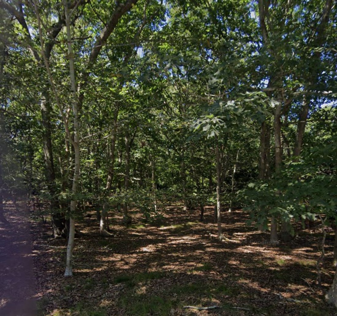 Land East Hampton In East Hampton - 1100xxs
