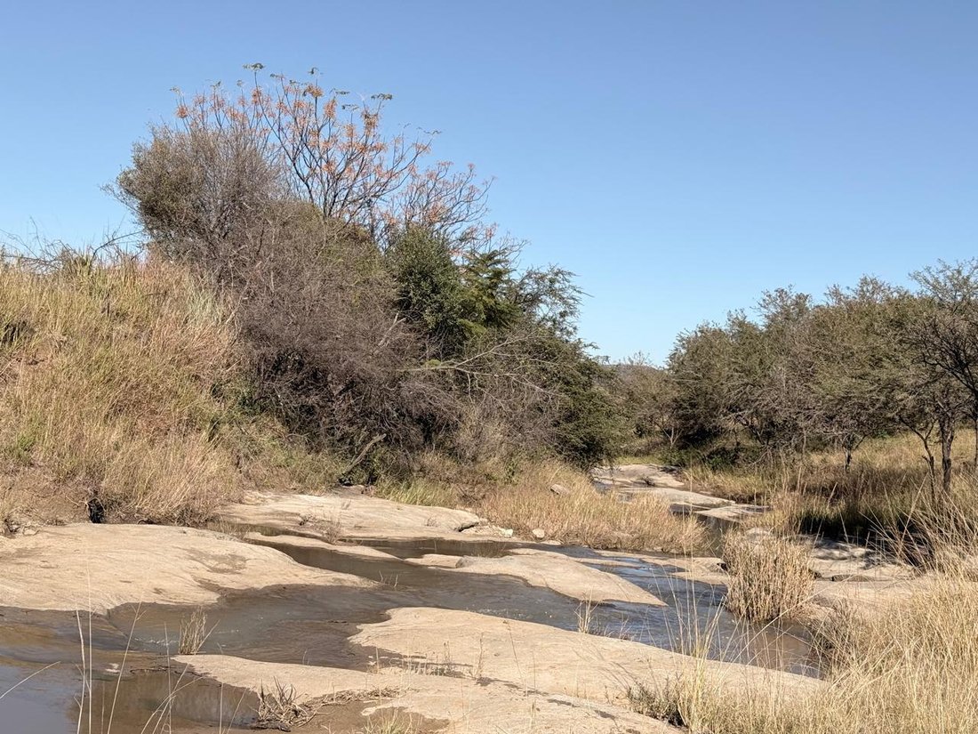 Farm Ranch in Glencoe, KwaZulu-Natal, South Africa 4 - 15936996
