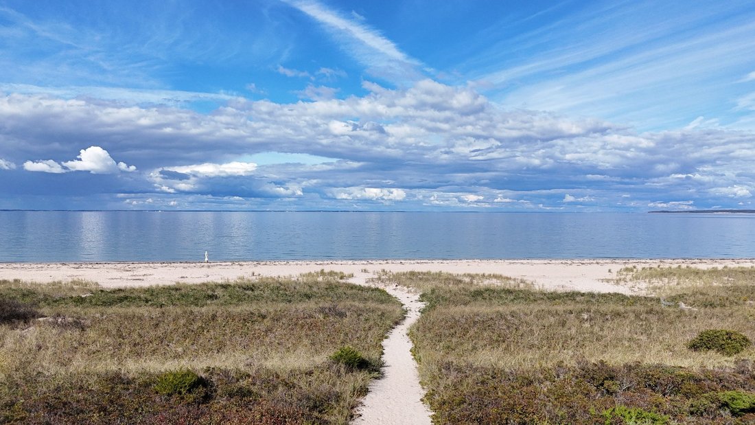 East Hampton, New York, United States 4 - 15878384