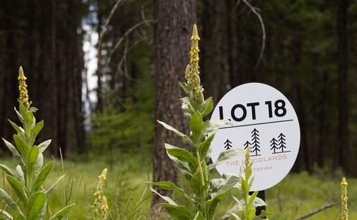 Terreno a Whitefish, Montana, Stati Uniti 1