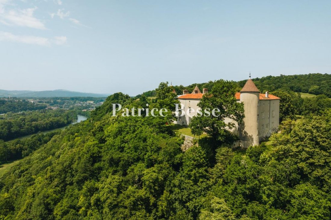Whispers of the Renaissance: A 16th-Century Castle Hidden in Burgundy’s Golden Light