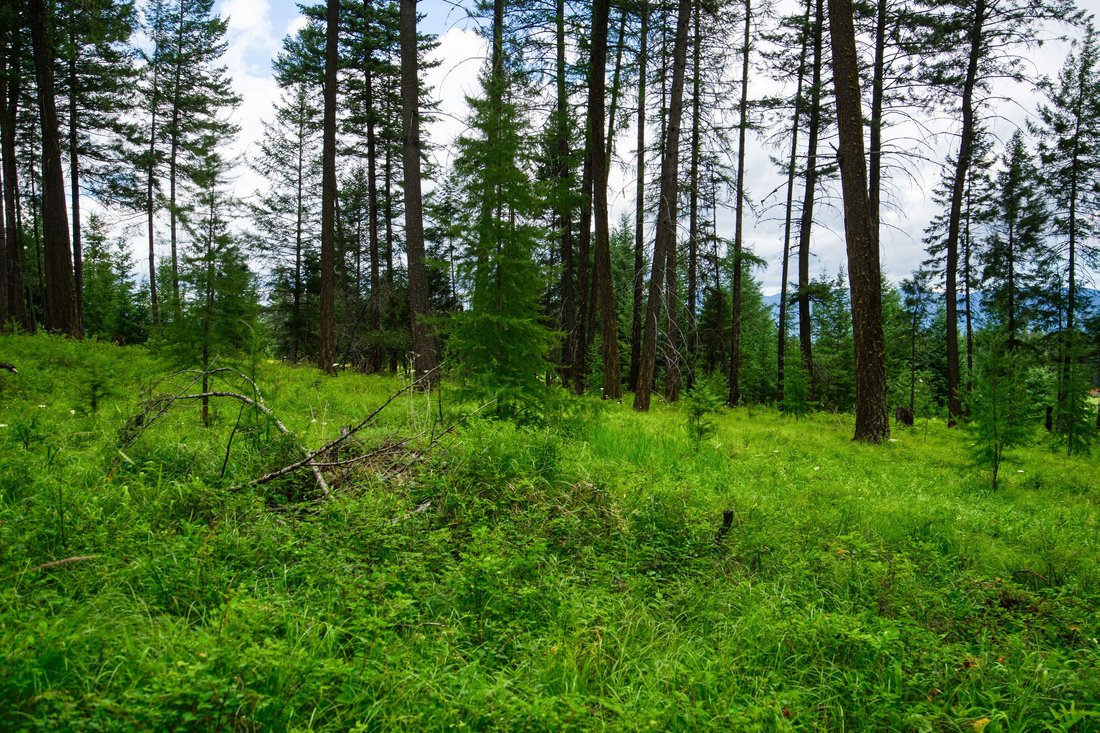 Land in Whitefish, Montana, United States 3 - 15943151