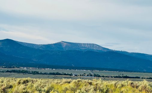 Land for Sale in Mount Pleasant - 507x312xc