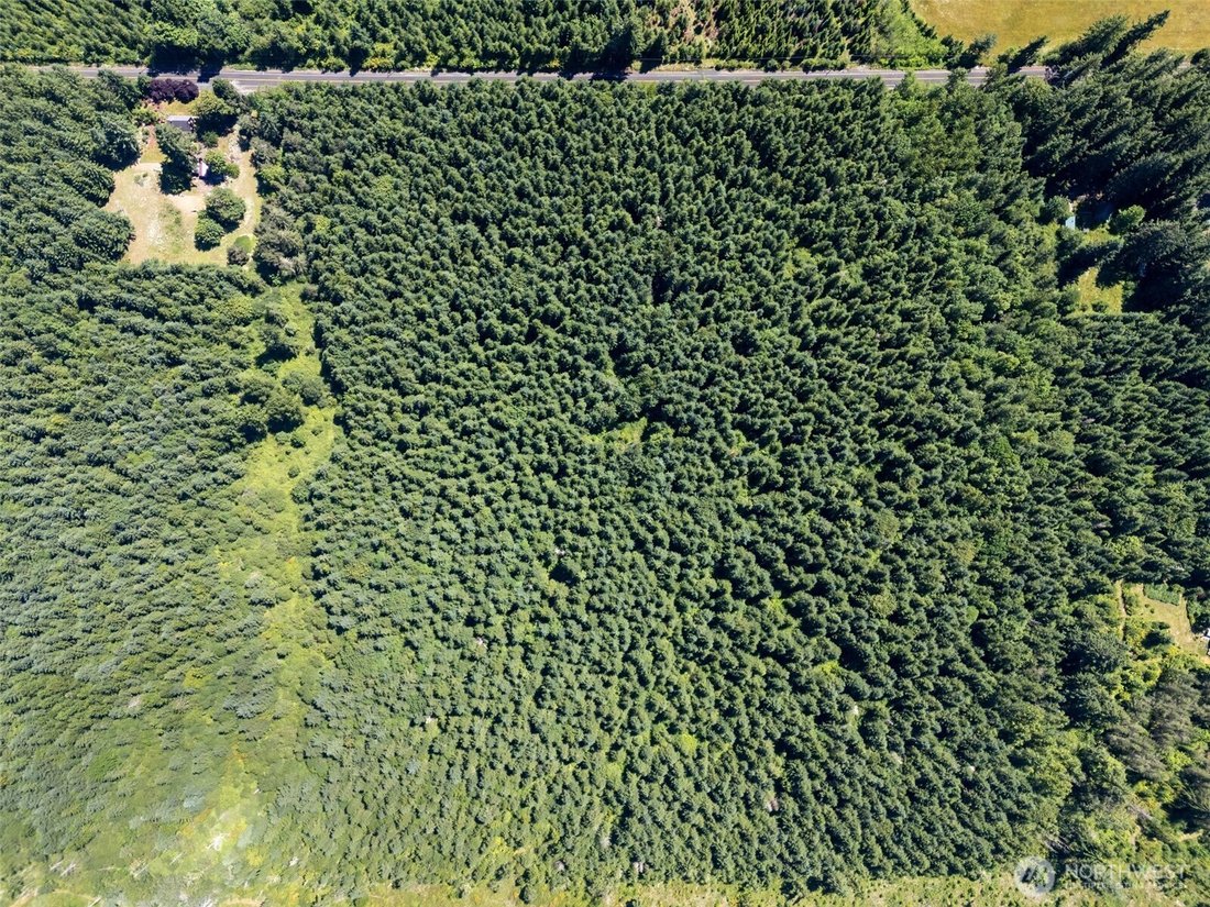 Land Single Family Acreage In Chehalis - 1100xxs