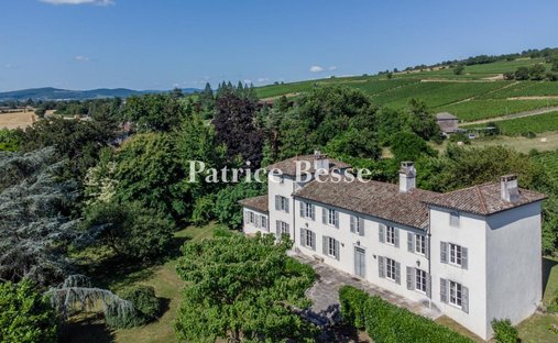 Castle for Sale in Tournus, Bourgogne-Franche-Comté, France